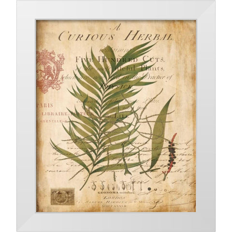 Palm Study I White Modern Wood Framed Art Print by Devellier, Deborah