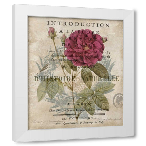 Botanique I White Modern Wood Framed Art Print by Devellier, Deborah