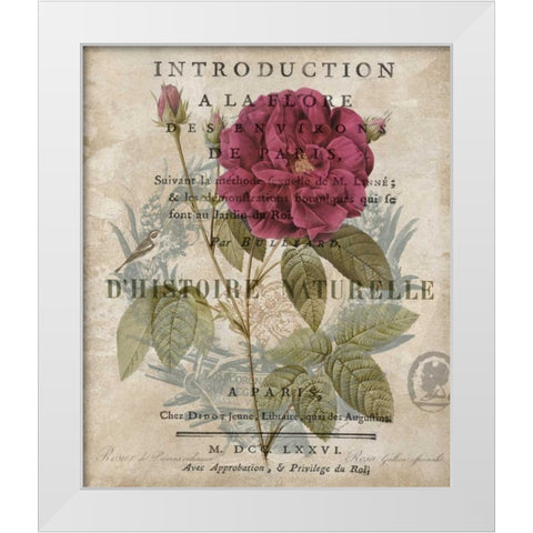 Botanique I White Modern Wood Framed Art Print by Devellier, Deborah