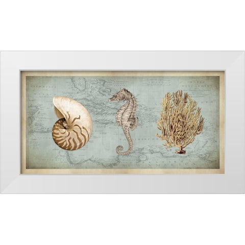 Sea Treasures I White Modern Wood Framed Art Print by Devellier, Deborah