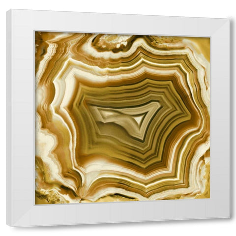 Agate in Amber White Modern Wood Framed Art Print by Carson, Danielle