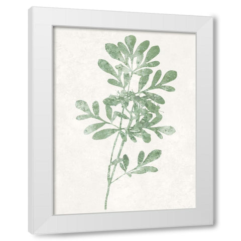 Nature Green II White Modern Wood Framed Art Print by Carson, Danielle