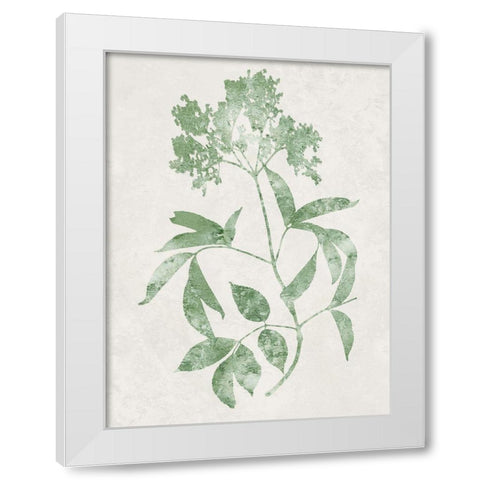 Nature Green V White Modern Wood Framed Art Print by Carson, Danielle