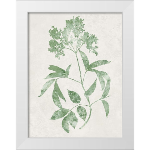 Nature Green V White Modern Wood Framed Art Print by Carson, Danielle