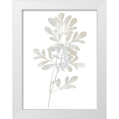 Natural Nature II White Modern Wood Framed Art Print by Carson, Danielle