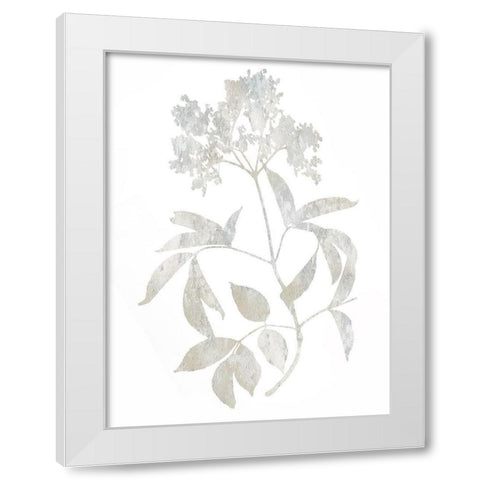 Natural Nature V White Modern Wood Framed Art Print by Carson, Danielle