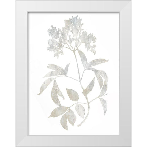 Natural Nature V White Modern Wood Framed Art Print by Carson, Danielle