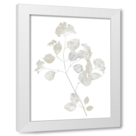 Natural Nature VI White Modern Wood Framed Art Print by Carson, Danielle