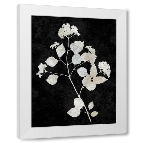 Nature White on Black VI White Modern Wood Framed Art Print by Carson, Danielle