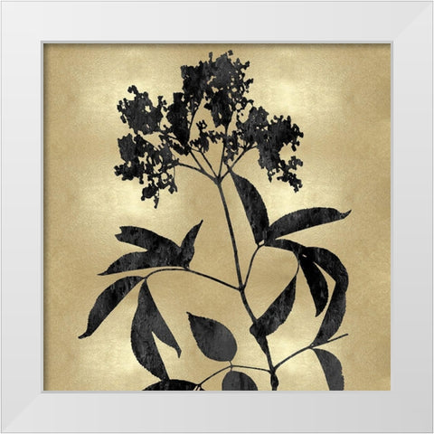 Nature Black on Gold V White Modern Wood Framed Art Print by Carson, Danielle