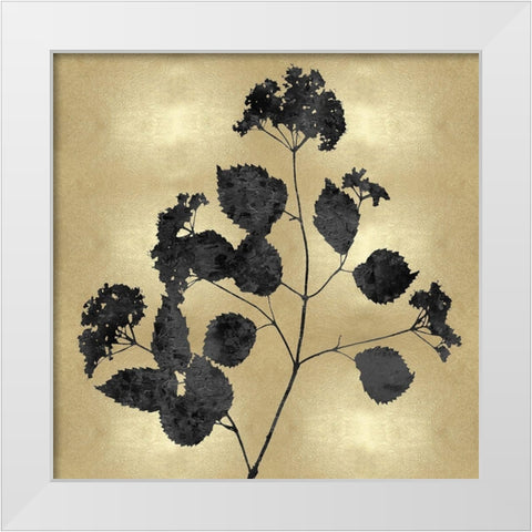 Nature Black on Gold VI White Modern Wood Framed Art Print by Carson, Danielle