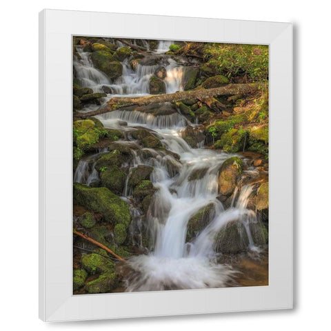 Waterfall White Modern Wood Framed Art Print by Sproul, Dan