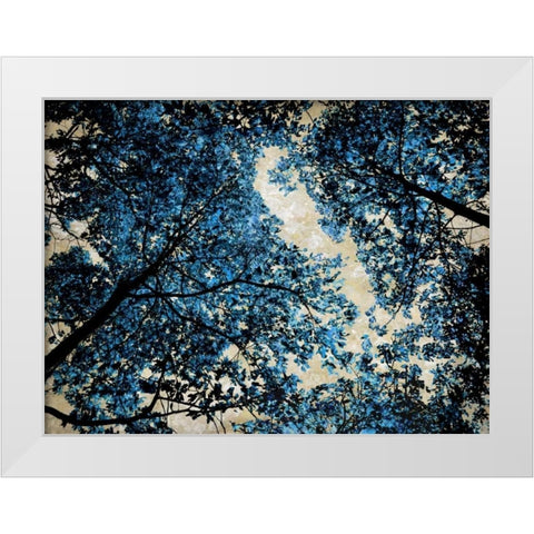 Blue Forest II White Modern Wood Framed Art Print by Scott, Derek
