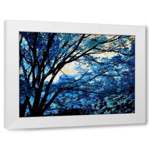 Blue Forest III White Modern Wood Framed Art Print by Scott, Derek