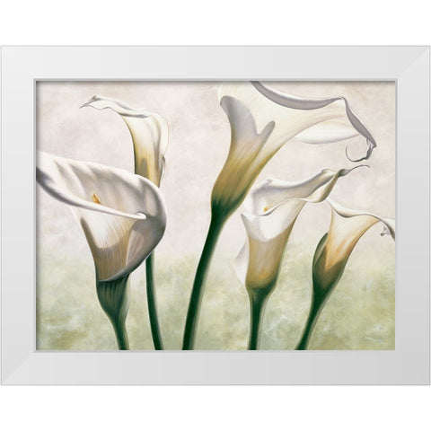 Luce White Modern Wood Framed Art Print by Barberini, Eva