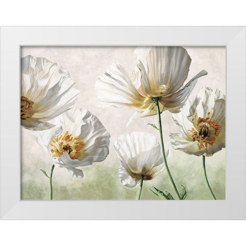 Raggi di sole White Modern Wood Framed Art Print by Barberini, Eva