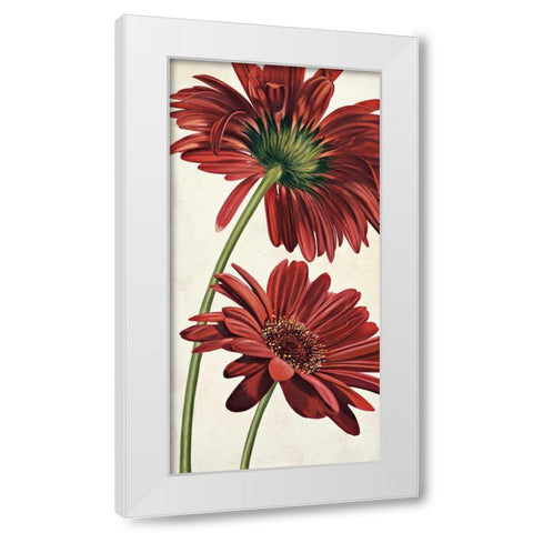 Armonie in rosso White Modern Wood Framed Art Print by Barberini, Eva