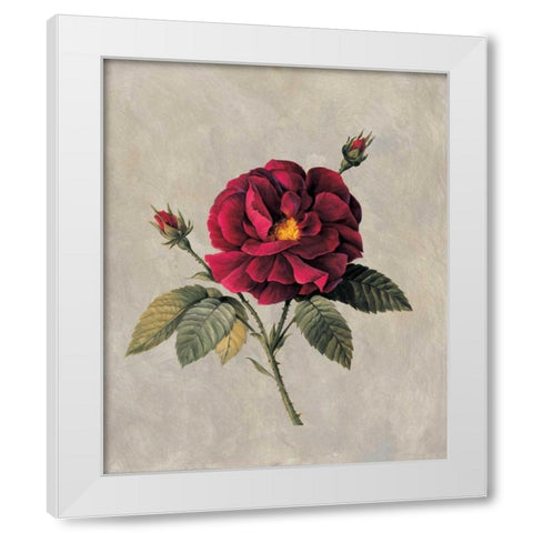 Timeless II White Modern Wood Framed Art Print by Lopez, E.