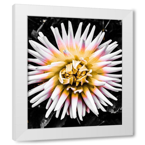 Color Pop Yellow White Modern Wood Framed Art Print by Bannon, Heidi