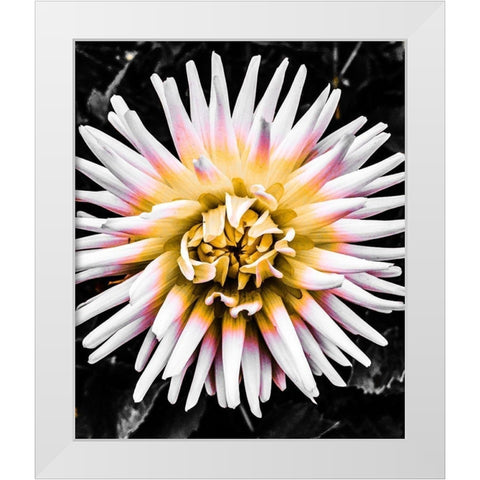 Color Pop Yellow White Modern Wood Framed Art Print by Bannon, Heidi