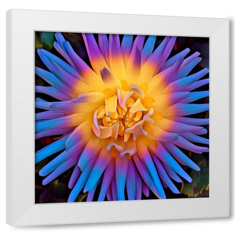 Pastel Pop White Modern Wood Framed Art Print by Bannon, Heidi
