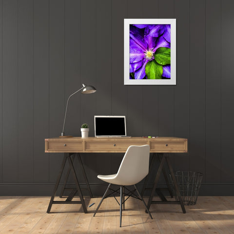 Clematis Spring White Modern Wood Framed Art Print by Bannon, Heidi