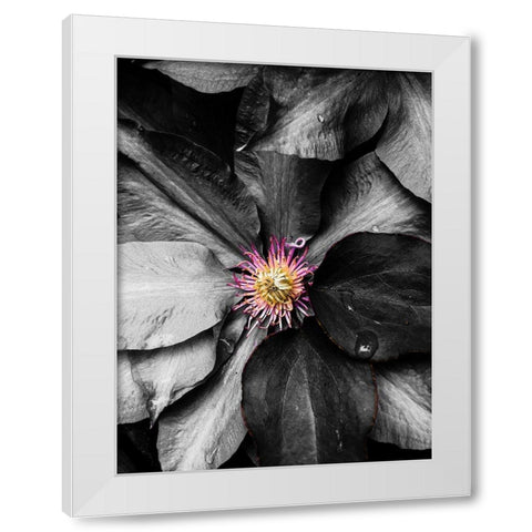 Just a Touch White Modern Wood Framed Art Print by Bannon, Heidi