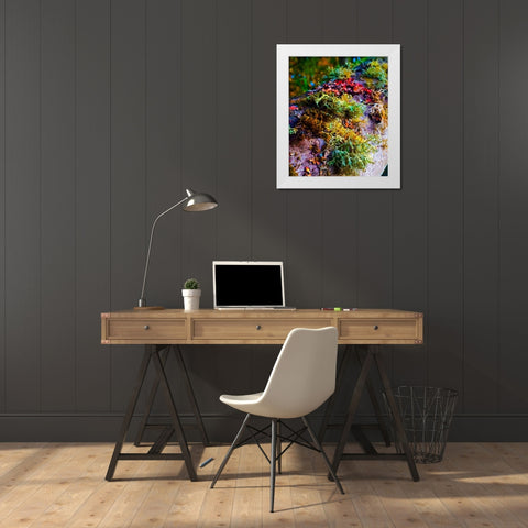 Must Love Moss White Modern Wood Framed Art Print by Bannon, Heidi