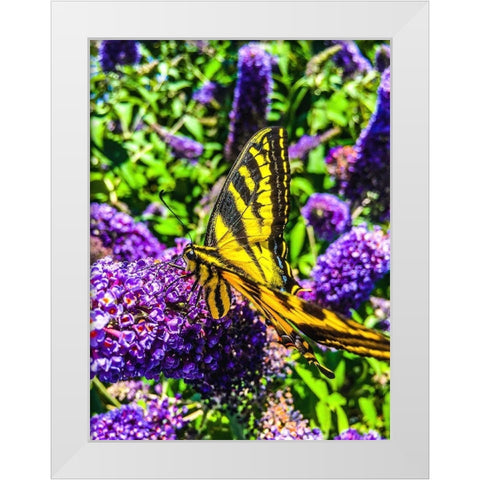 Coming in for a Landing I White Modern Wood Framed Art Print by Bannon, Heidi