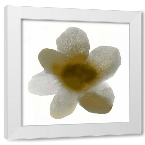 Bloom Taupe I White Modern Wood Framed Art Print by Carlson, Hannah