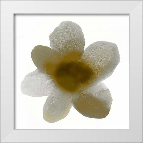 Bloom Taupe I White Modern Wood Framed Art Print by Carlson, Hannah