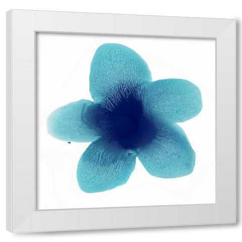 Blue Bloom II White Modern Wood Framed Art Print by Carlson, Hannah