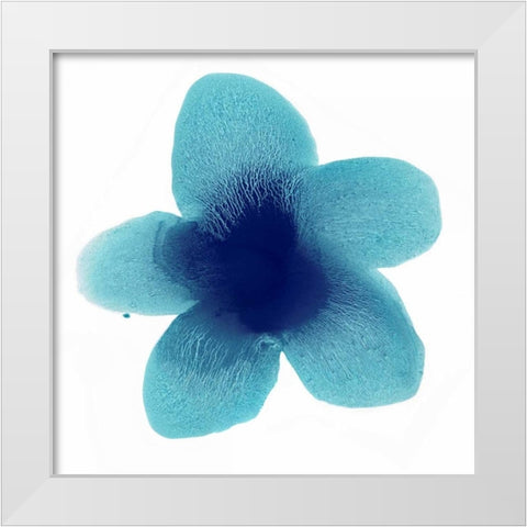 Blue Bloom II White Modern Wood Framed Art Print by Carlson, Hannah