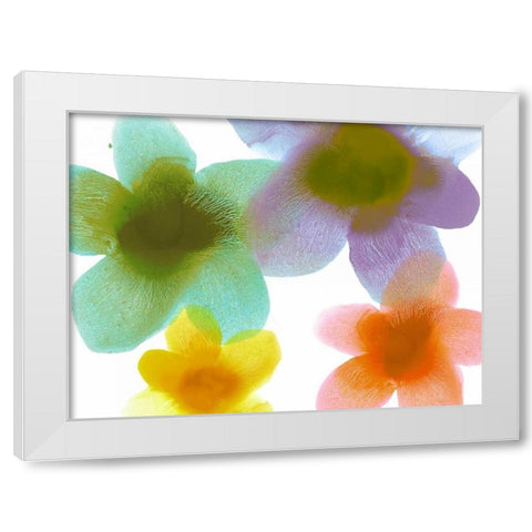 Floral Friends II White Modern Wood Framed Art Print by Carlson, Hannah