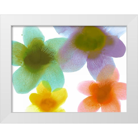 Floral Friends II White Modern Wood Framed Art Print by Carlson, Hannah
