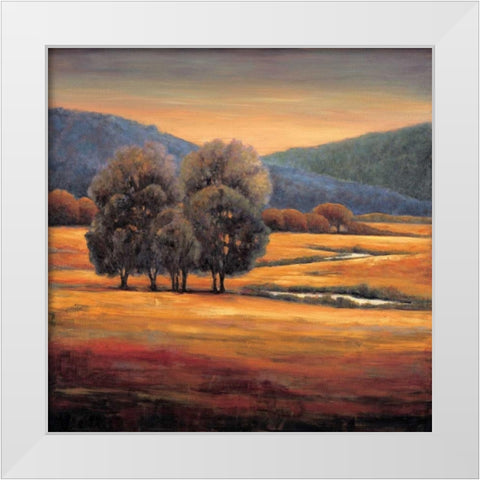 In All Its Glory I White Modern Wood Framed Art Print by Leonard, Jeffrey