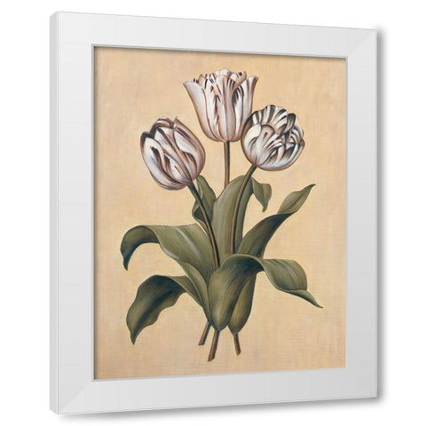 Tulips II White Modern Wood Framed Art Print by Deveraux, Jill