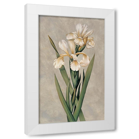 Decorative Irises I White Modern Wood Framed Art Print by Deveraux, Jill