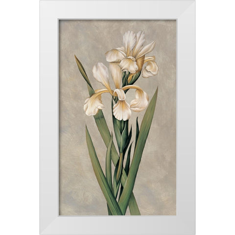 Decorative Irises I White Modern Wood Framed Art Print by Deveraux, Jill
