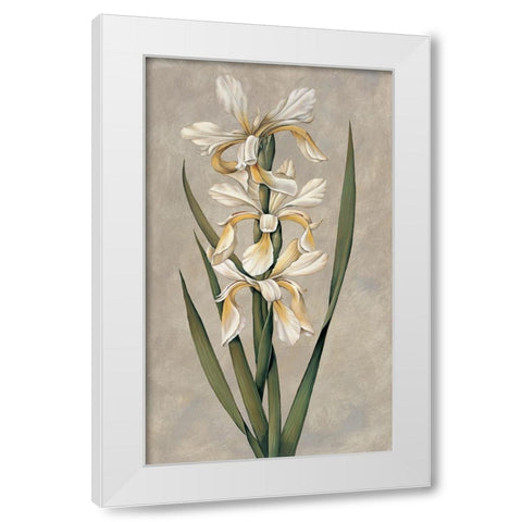 Decorative Irises II White Modern Wood Framed Art Print by Deveraux, Jill