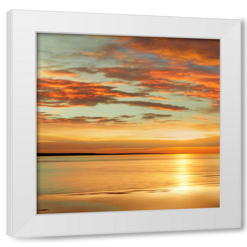 Sunlit I White Modern Wood Framed Art Print by Seba, John