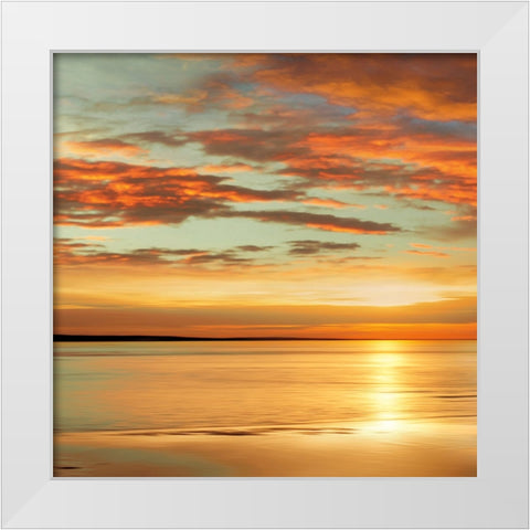 Sunlit I White Modern Wood Framed Art Print by Seba, John