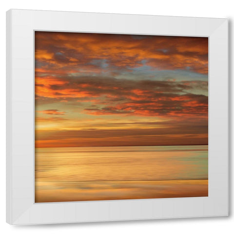 Sunlit II White Modern Wood Framed Art Print by Seba, John