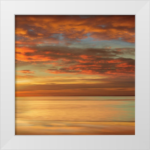 Sunlit II White Modern Wood Framed Art Print by Seba, John
