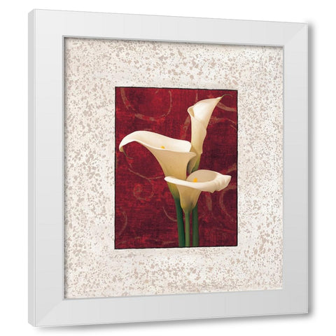Calla Lilies White Modern Wood Framed Art Print by Seba, John