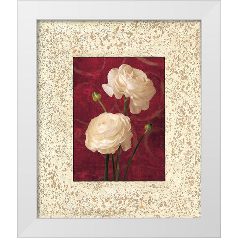 Ranunculus White Modern Wood Framed Art Print by Seba, John