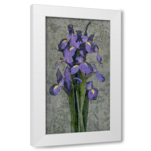 Purple Iris White Modern Wood Framed Art Print by Seba, John