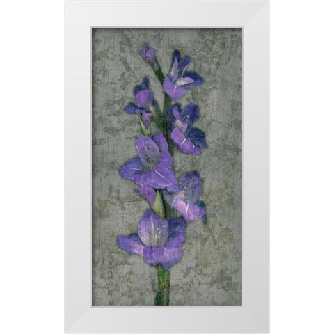Purple Gladiola White Modern Wood Framed Art Print by Seba, John