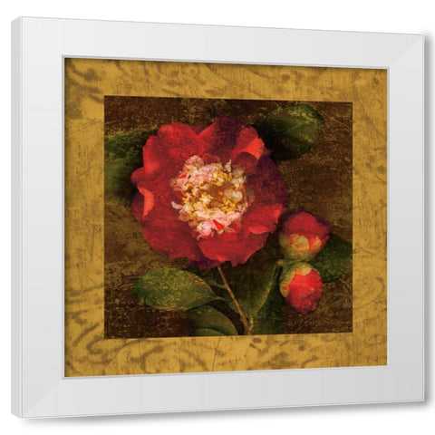 Red Camellias I White Modern Wood Framed Art Print by Seba, John