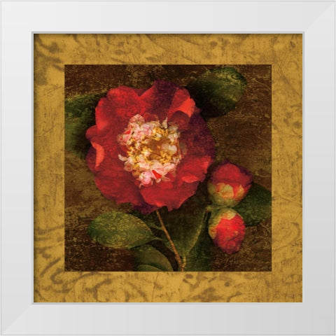 Red Camellias I White Modern Wood Framed Art Print by Seba, John
